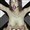 bdsm porn comic image Elysium C20
