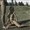 bdsm porn comic image Blowjob on the grass 08