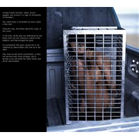 porn comic image Black slave 04